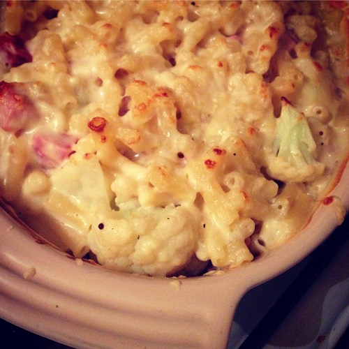 macaroni and cauliflower cheese